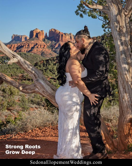 Sedona Wedding Tree Location