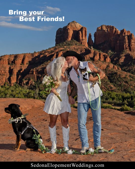 Pet Friendly Weddings in Sedona